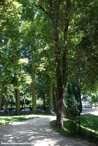 Vue d'une allée