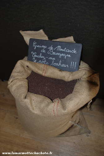 Moutarde de Dijon ou Moutarde de Bourgogne? | La marmotte chuchote